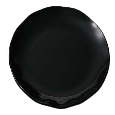 Thunder Group, RF1020BW, Plate, Plastic