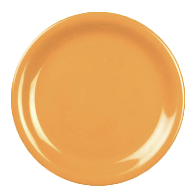 Thunder Group, CR109YW, Plate, Plastic